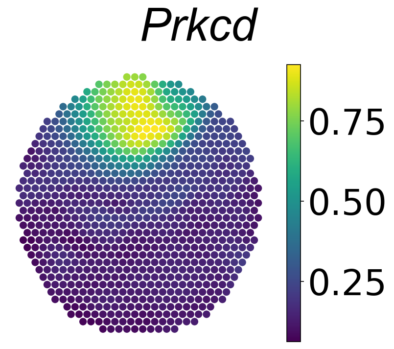 _images/54a6f5c1ca3282c00a296307bc8ac9dce6f3e881e0d2d73221e684592c70dc8a.png